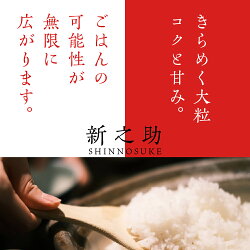 【ふるさと納税】米 定期便 新之助 こしひかり 各5kg 計10kg×3ヶ月 合計30kg 食べ比べ セット 新潟県産 白米 お取り寄せ 送料無料 画像1