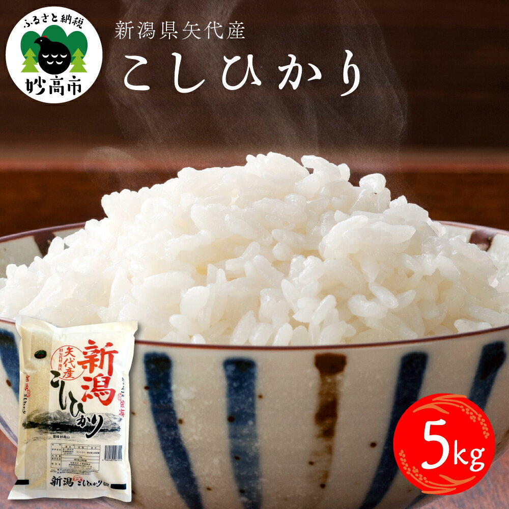 【ふるさと納税】【令和5年産】【発送時期が選べる】米 コシヒカリ 5kg 新潟県 ★レビュー 高評価 2023年 コメ こめ 矢代産 ふっくら 美味しい 甘み と 香り 粘り 年末年始 逸品 希少価値 ブランド米 飽きが来ない 送料無料