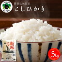 5位! 口コミ数「7件」評価「5」【令和5年産】【発送時期が選べる】米 コシヒカリ 5kg 新潟県 ★レビュー 高評価 2023年 精米 コメ こめ 矢代産 米どころ ふっく･･･ 