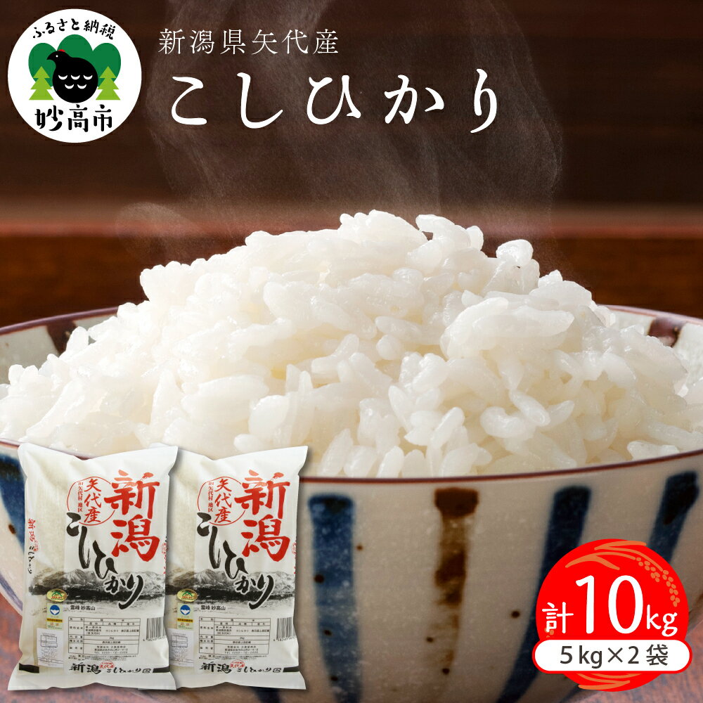 【ふるさと納税】【令和5年産】【発送時期が選べる】米 コシヒカリ 10kg ( 5kg × 2袋 ) ★レビュー 高評価 2023年 新潟県 上越 矢代産 ..