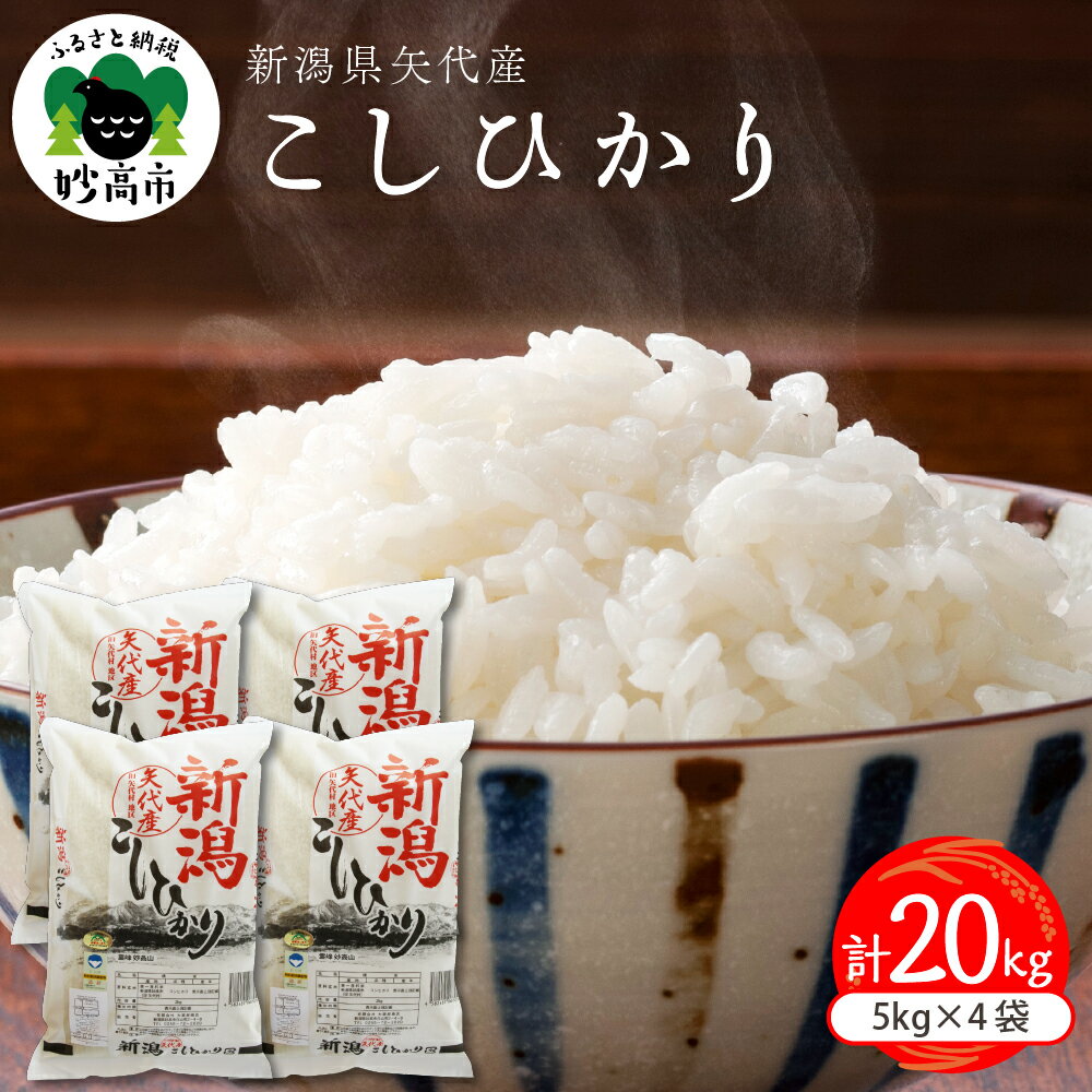 [令和5年産][発送時期が選べる]米 コシヒカリ 20kg (5kg×4袋) 2023年産 新潟県新潟県 上越 矢代産 白米 コメ お米 こめ ご飯 ごはん ライス おにぎり 弁当 小分け 便利 大人気 グルメ 20キロ お取り寄せ 送料無料