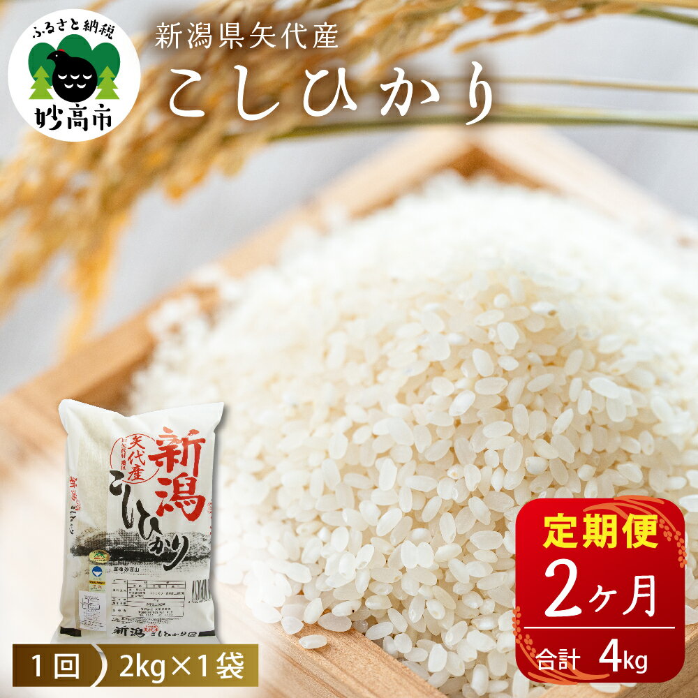 【ふるさと納税】米 定期便 コシヒカリ 2kg×2ヶ月 計4kg 新潟県 上越 矢代産 白米 お取り寄せ 送料無料