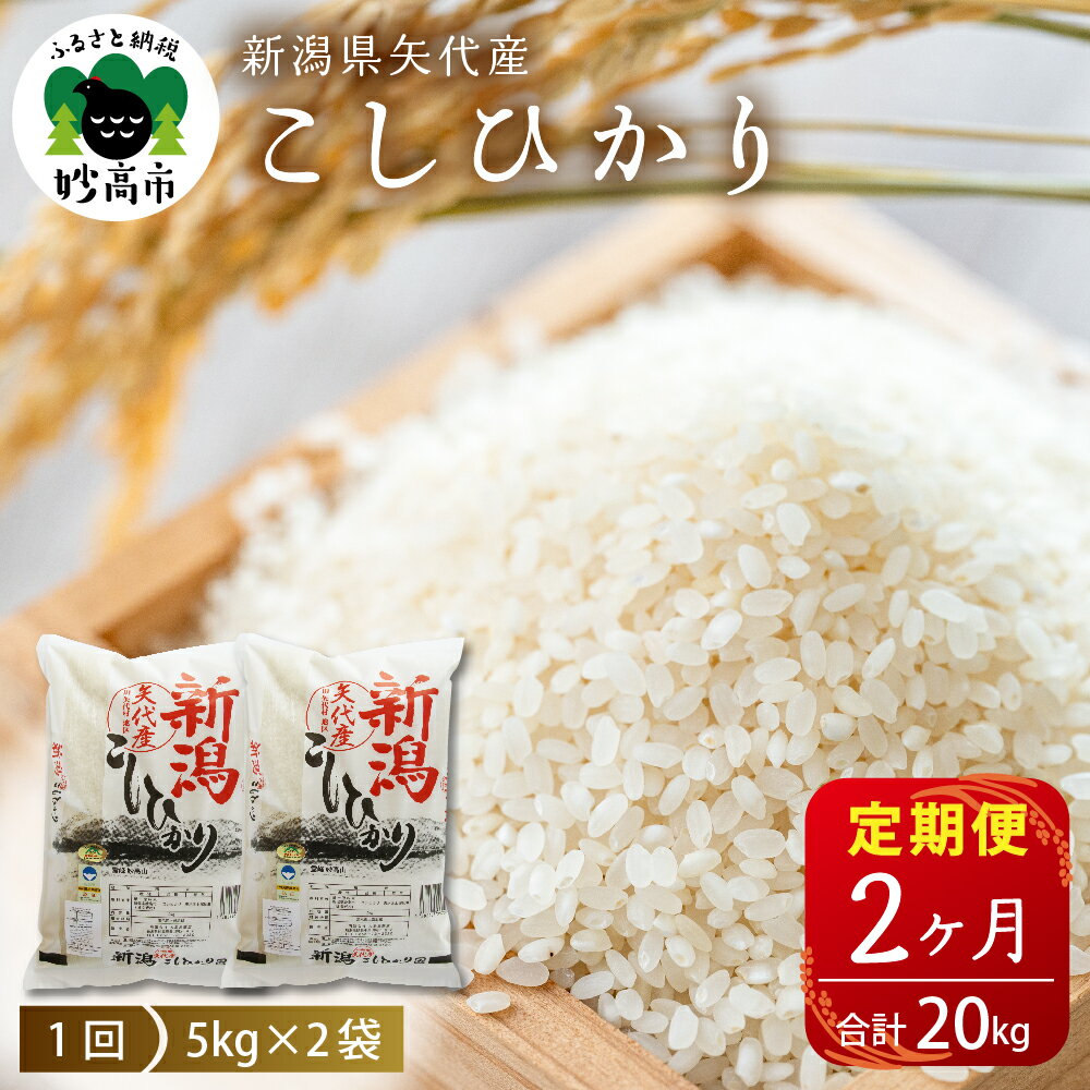 [発送時期が選べる]米 定期便 コシヒカリ 10kg (5kg×2袋)×2ヶ月 計 20kg 令和5年産 登場 2回 新潟県 上越 矢代産 精米 白米 米どころ お取り寄せ 送料無料 妙高市