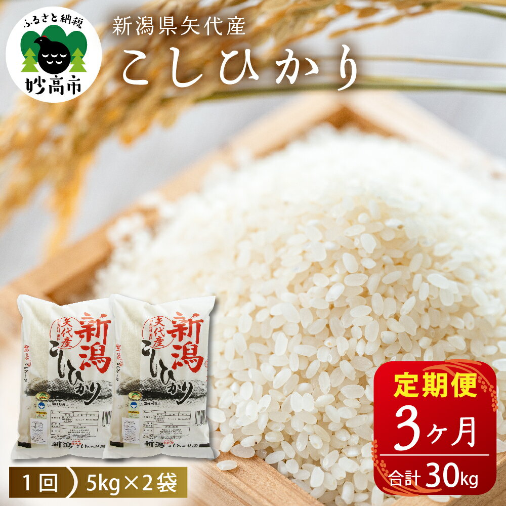 [ 発送時期が選べる ] 米 定期便 コシヒカリ 10kg (5kg×2袋)×3ヶ月 計 30kg 令和5年産 登場 新潟県 上越 矢代産 白米 お取り寄せ 送料無料