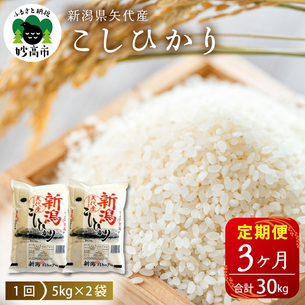 【ふるさと納税】定期便 コシヒカリ 10kg ( 5kg × 2袋 )× 3ヶ月 計 30kg 【 配送時期が選べる 】 米 令和6年産 2024年産 上越 矢代産 白米 精米 ブランド米 お取り寄せ 送料無料 新潟県 妙高市