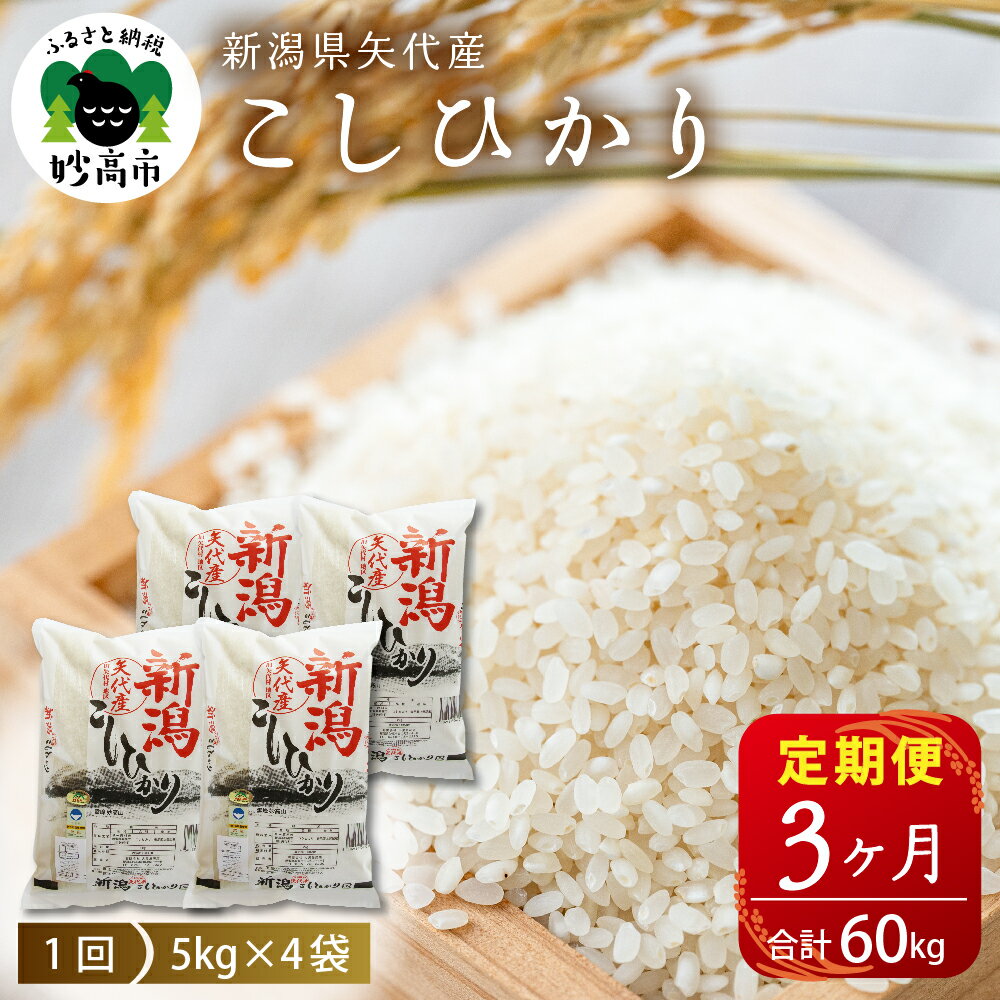 【発送時期が選べる】米 定期便 コシヒカリ 20kg(5kg×4袋)×3ヶ月 計60kg 令和5年産 登場 新潟県 上越 矢代産 白米 お取り寄せ 送料無料