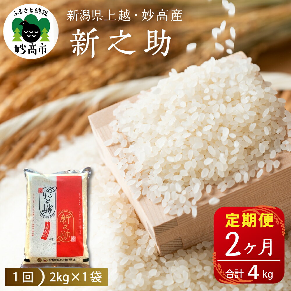 【発送時期が選べる】米 定期便 新之助 しんのすけ 2kg×2ヶ月 計4kg【令和5年産】 新潟県 上越 妙高産 白米 お取り寄せ 送料無料