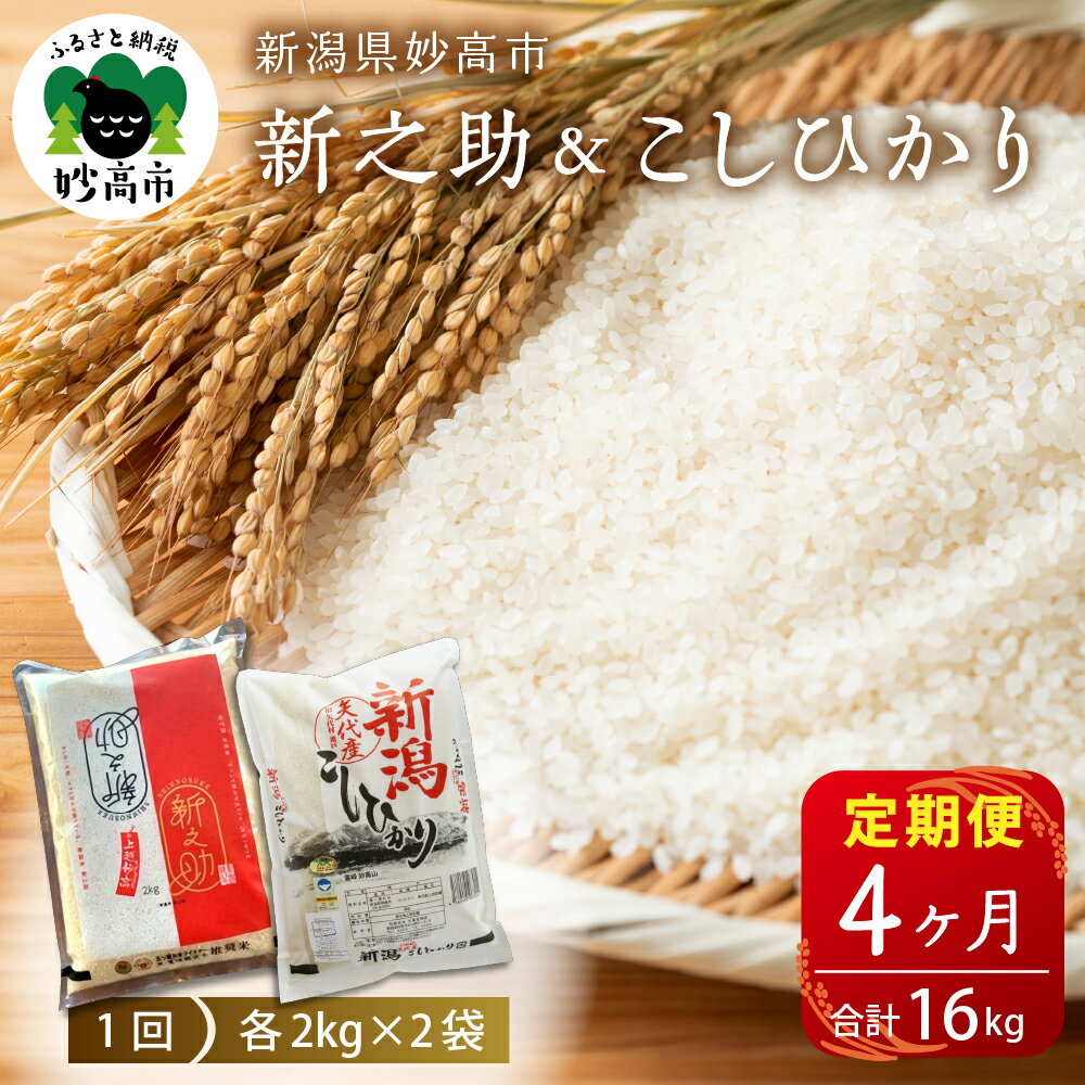 【ふるさと納税】米 定期便 新之助 こしひかり 各2kg 計4kg×4ヶ月 合計16kg 食べ比べ セット 新潟県産 白米 お取り寄せ 送料無料