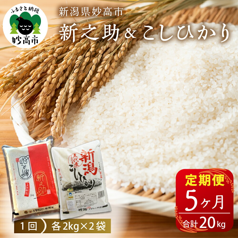 【ふるさと納税】米 定期便 新之助 こしひかり 各2kg 計4kg×5ヶ月 合計20kg 食べ比べ セット 新潟県産 白米 お取り寄せ 送料無料