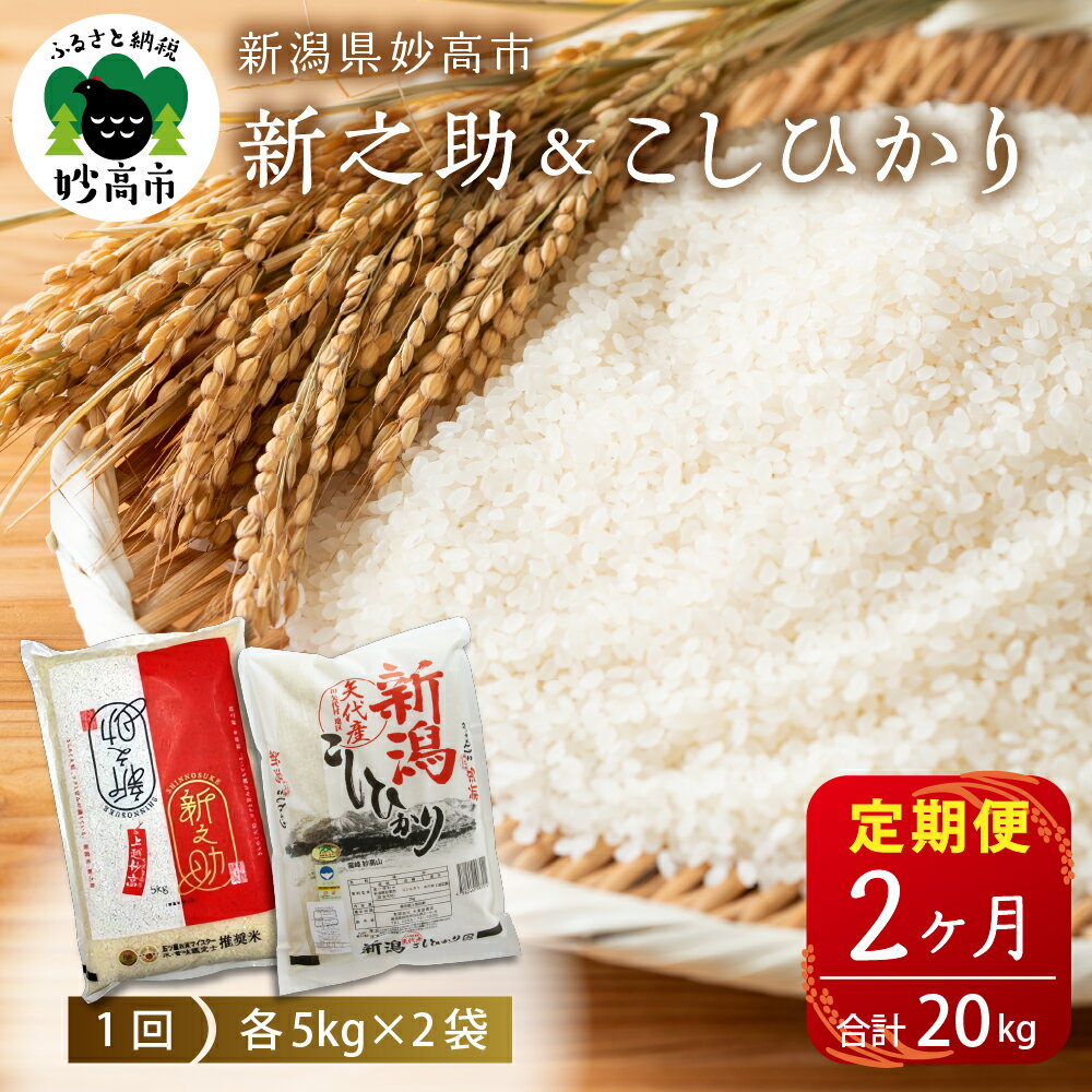 【ふるさと納税】米 定期便 新之助 こしひかり 各5kg 計10kg×2ヶ月 合計20kg 食べ比べ セット 新潟県産 白米 お取り寄せ 送料無料