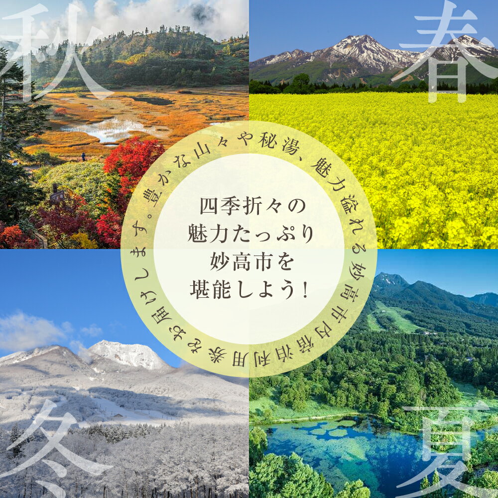 【ふるさと納税】新潟県妙高市内 宿泊利用券 10,000円分 2枚 旅行 券 妙高山 温泉 観光 お祝い 家族 友達 夫婦 カップル 自然