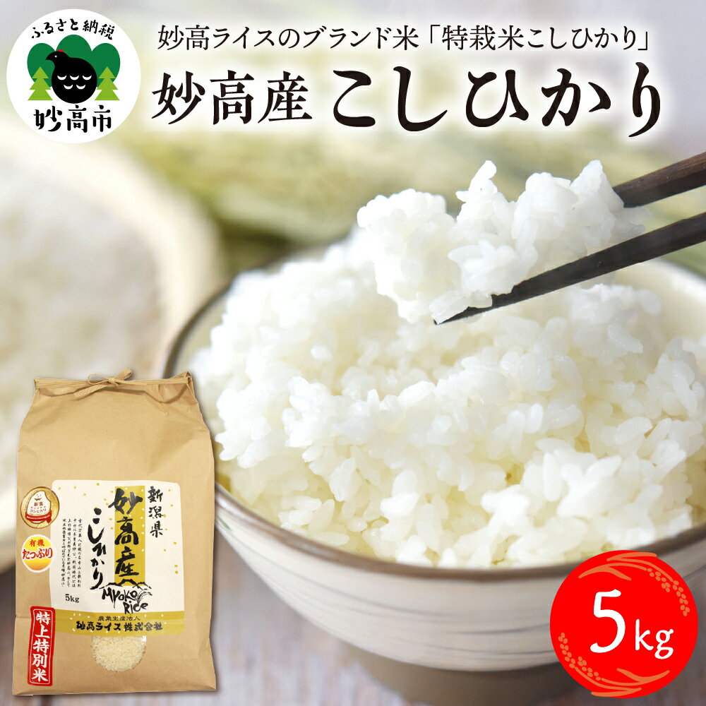 令和5年産 妙高産 コシヒカリ 5kg 米 精米 白米 お米 ブランド米 農家直送 産地直送 送料無料 お取り寄せ グルメ ご当地 特産 産地 新潟県 妙高市