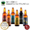 【ふるさと納税】妙高 高原 アルペンブリックビール 6種 ギフト セット (500ml×6本) ビー ...