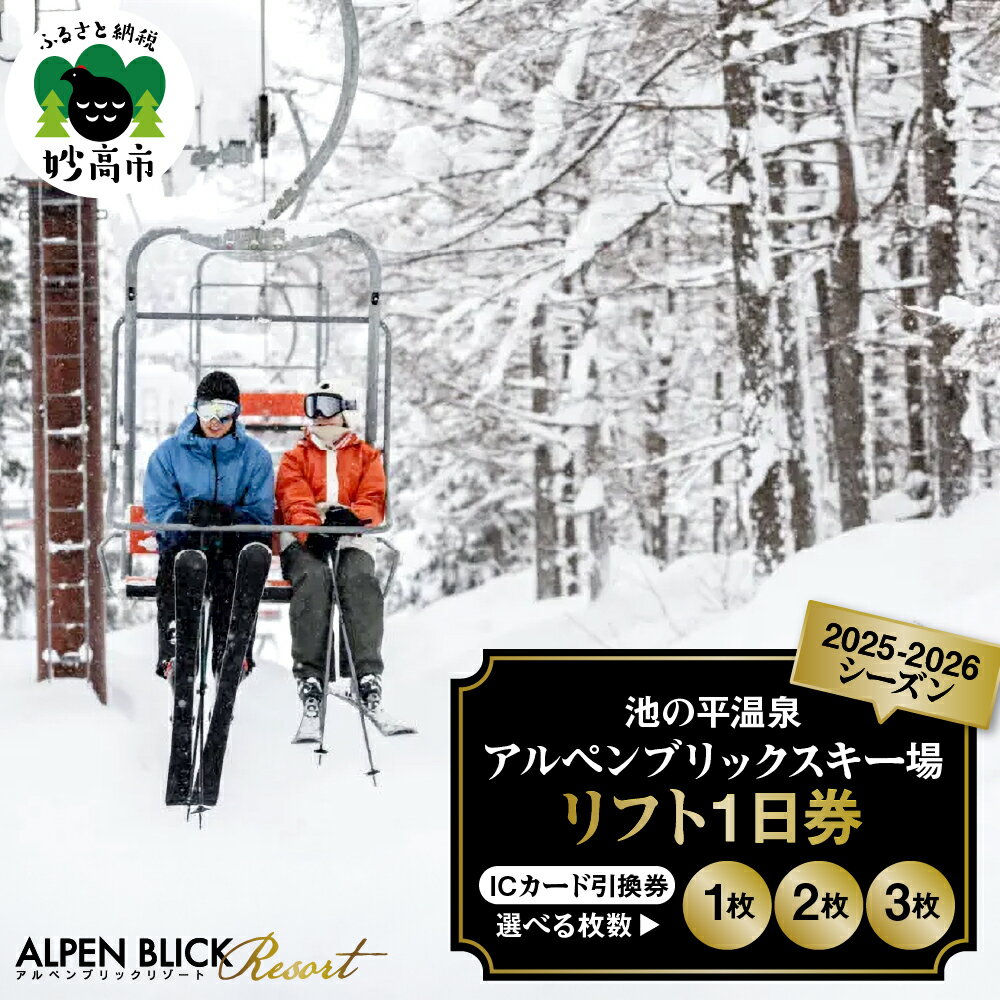 池の平温泉 アルペンブリック スキー場リフト1日券 大人