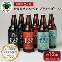 【ふるさと納税】【2ヶ月定期便】妙高 高原アルペンブリックビール 3種 ギフト セット（500ml×6本）全2回 クラフトビール 地ビール 飲み比べ 送料無料 お取り寄せ 金賞受賞 贈り物 お歳暮 お中元 新潟県 地ビール 天然水 家飲み 詰め合わせ ギフト セット 定番 酒 苦味