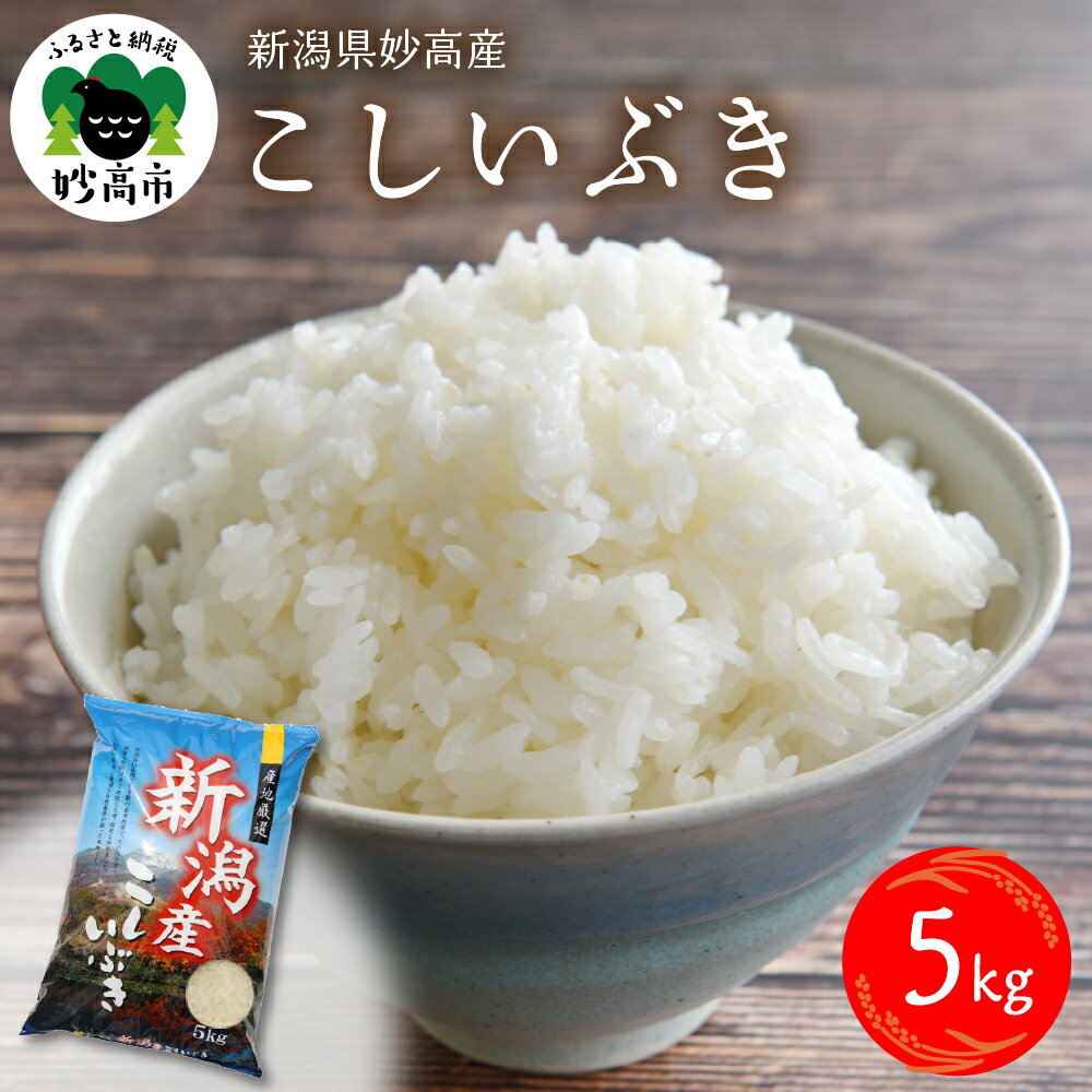 【ふるさと納税】令和6年産 新潟県 妙高産 こしいぶき 5kg 白米 精米 送料無料 お取り寄せ 妙高市