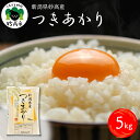 【ふるさと納税】新潟県 妙高産 つきあかり 5kg 白米 精米 送料無料 お取り寄せ 妙高市