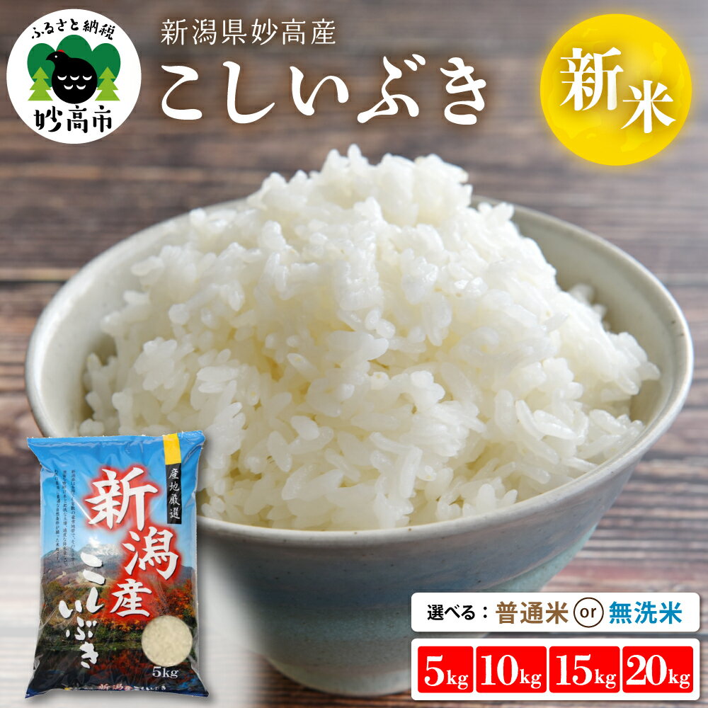 【ふるさと納税】 米 令和7年産 新潟県産 こしいぶき 【発送時期が選べる】（ 5kg / 10kg / 15kg / 20kg ）（ 普通米 / 無洗米 ） 白米 精米 お米 2025年 送料無料 お取り寄せ 5キロ 10キロ 15キロ 20キロ 新潟県 妙高市