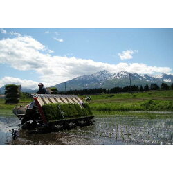 【ふるさと納税】新潟県 妙高産 つきあかり 5kg 白米 精米 送料無料 お取り寄せ 妙高市 画像1