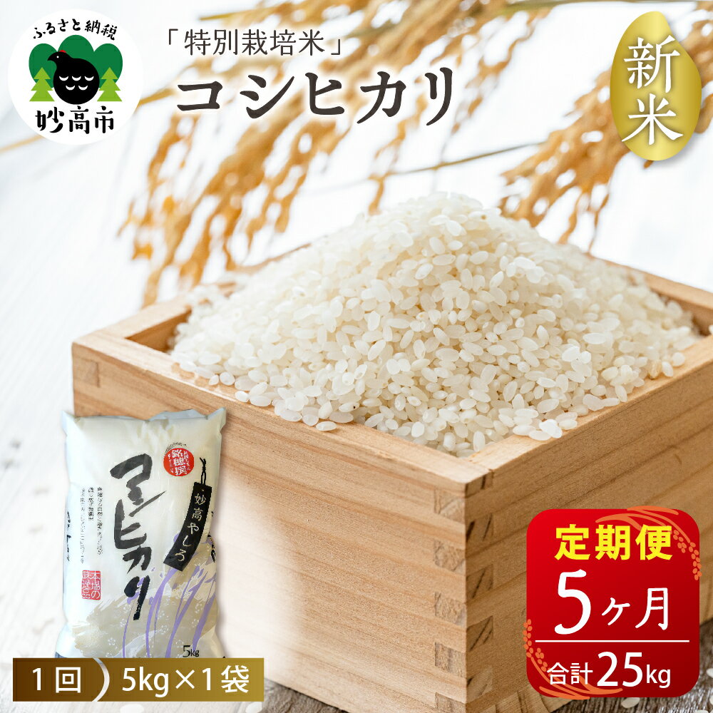 【2024年11月下旬より】【5ヵ月定期便】令和6年産 新潟県 妙高やしろ米 コシヒカリ 25kg (5kg×5回) 新米 米 精米 毎月定期便 お取り寄せ 送料無料 妙高市