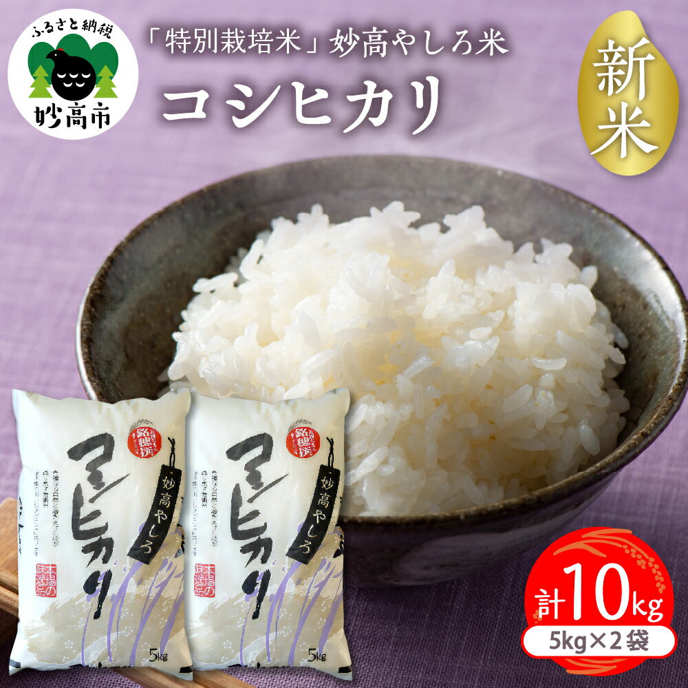 [2024年11月下旬より発送]令和6年産 新潟県 妙高やしろ米 コシヒカリ 10kg (5kg×2袋) 新米 米 精米 お取り寄せ 送料無料 妙高市