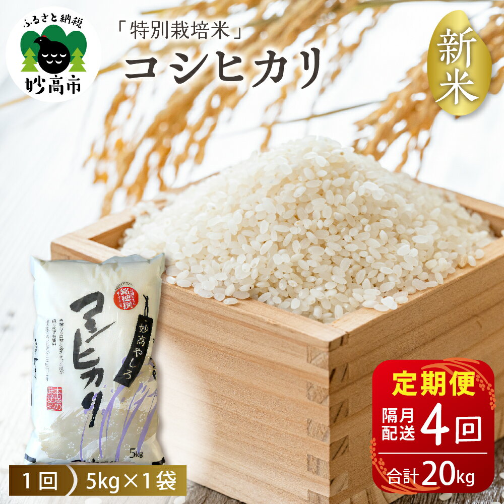 [2024年11月下旬より]令和6年産[定期便:隔月]新潟県 妙高やしろ米 コシヒカリ 20kg (5kg×4回) 新米 米 精米 お取り寄せ 送料無料 妙高市