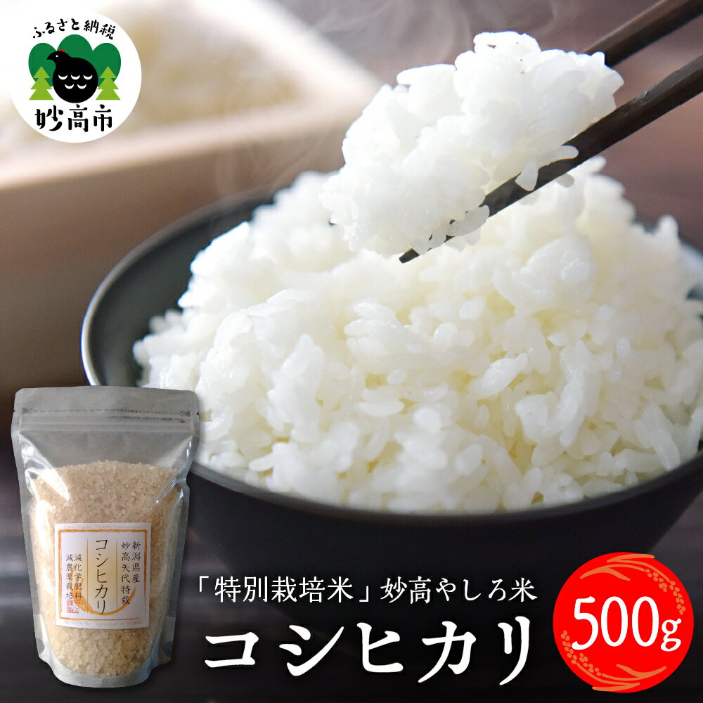 米 新潟県 妙高 やしろ米 コシヒカリ 500g[令和5年産]特別栽培米 ブランド米 お試し サイズ こしひかり 米どころ 妙高市 矢代地区 新潟県認証 化学肥料・農薬5割以上削減 低温貯蔵