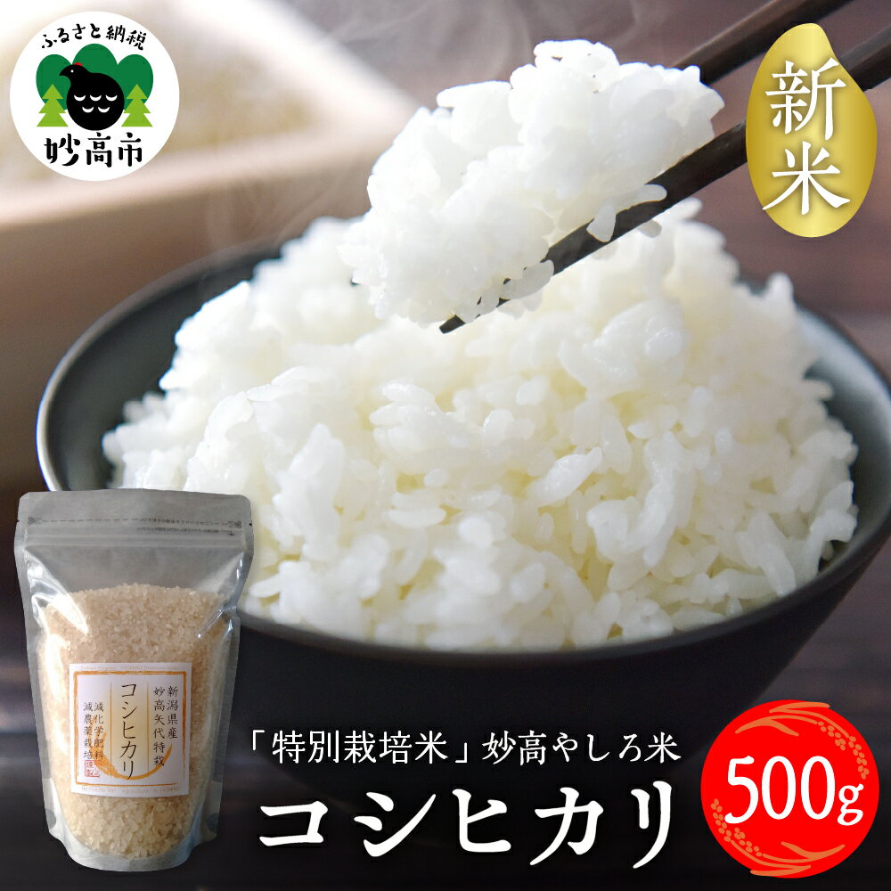 【2024年11月下旬より発送】 令和6年産 新潟県 妙高やしろ米 コシヒカリ 500g 新米 米 精米 お試し お取り寄せ 送料無料 妙高市