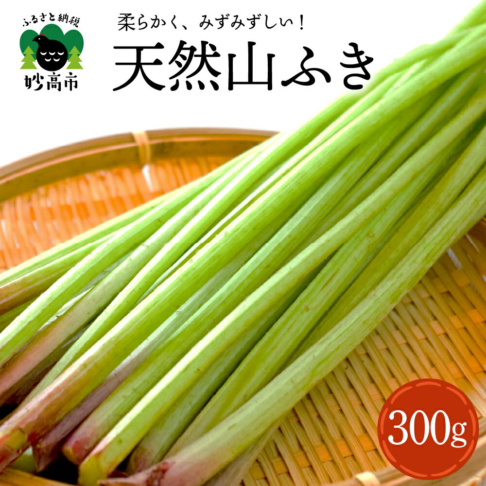 【ふるさと納税】天然 山ふき 300g 【5月初旬より発送】 山菜 煮物 春の味覚 産地直送 国産 送料無料 新潟県 妙高市