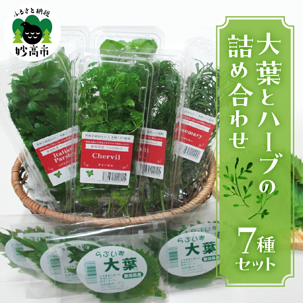 【ふるさと納税】大葉 と ハーブ の 詰め合わせ セット 大葉 セルバチカ イタリアンパセリ ローズマリー スペアミント ディル チャービル パスタ サラダ ス...