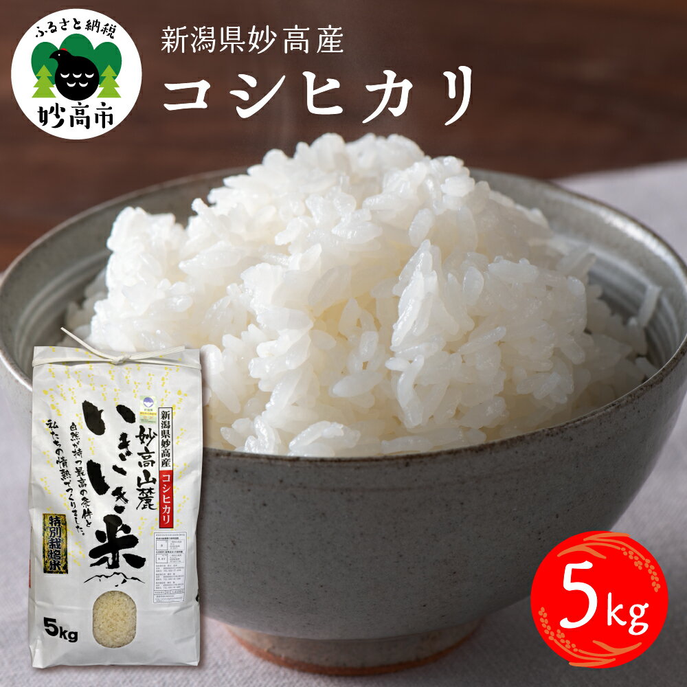 30位! 口コミ数「0件」評価「0」コシヒカリ 5kg 特別栽培 精米 白米 ブランド米 お米 農家直送 お取り寄せ グルメ ご当地 特産 産地 新潟県 妙高市