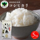 34位! 口コミ数「0件」評価「0」コシヒカリ 5kg 特別栽培 精米 白米 ブランド米 お米 農家直送 お取り寄せ グルメ ご当地 特産 産地 新潟県 妙高市