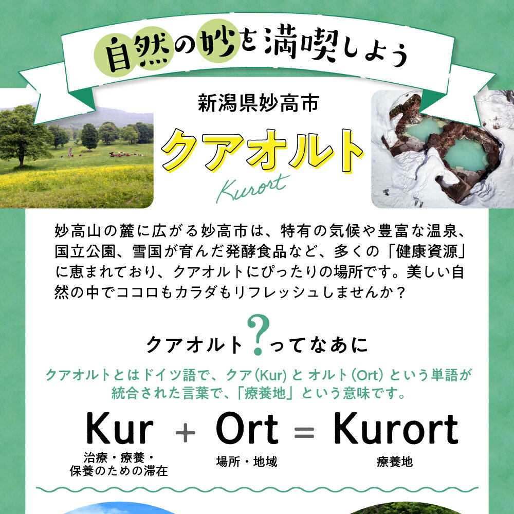 【ふるさと納税】新潟県妙高市の対象施設で使える楽天トラベルクーポン 寄付額200,000円