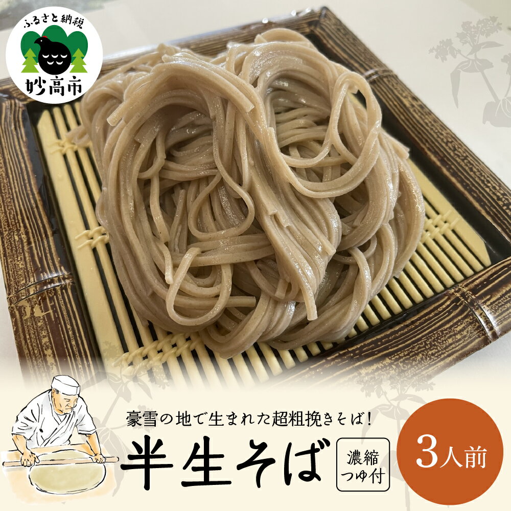 【ふるさと納税】半生そば 3人前 つゆ付 セット 冷凍 麺 国産 石臼挽き 超 粗挽き 蕎麦 そば粉 妙高産 北海道産 新潟県 妙高市