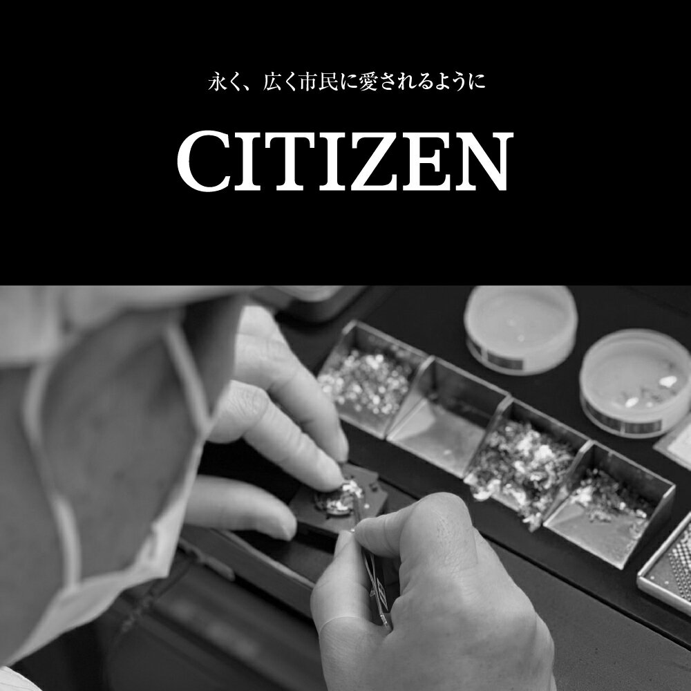 【ふるさと納税】【CITIZEN】プロマスター AT6085-50E時計 腕時計 シチズン 防水 プレゼント メーカー保証 メンズ 送料無料 新潟県 妙高市