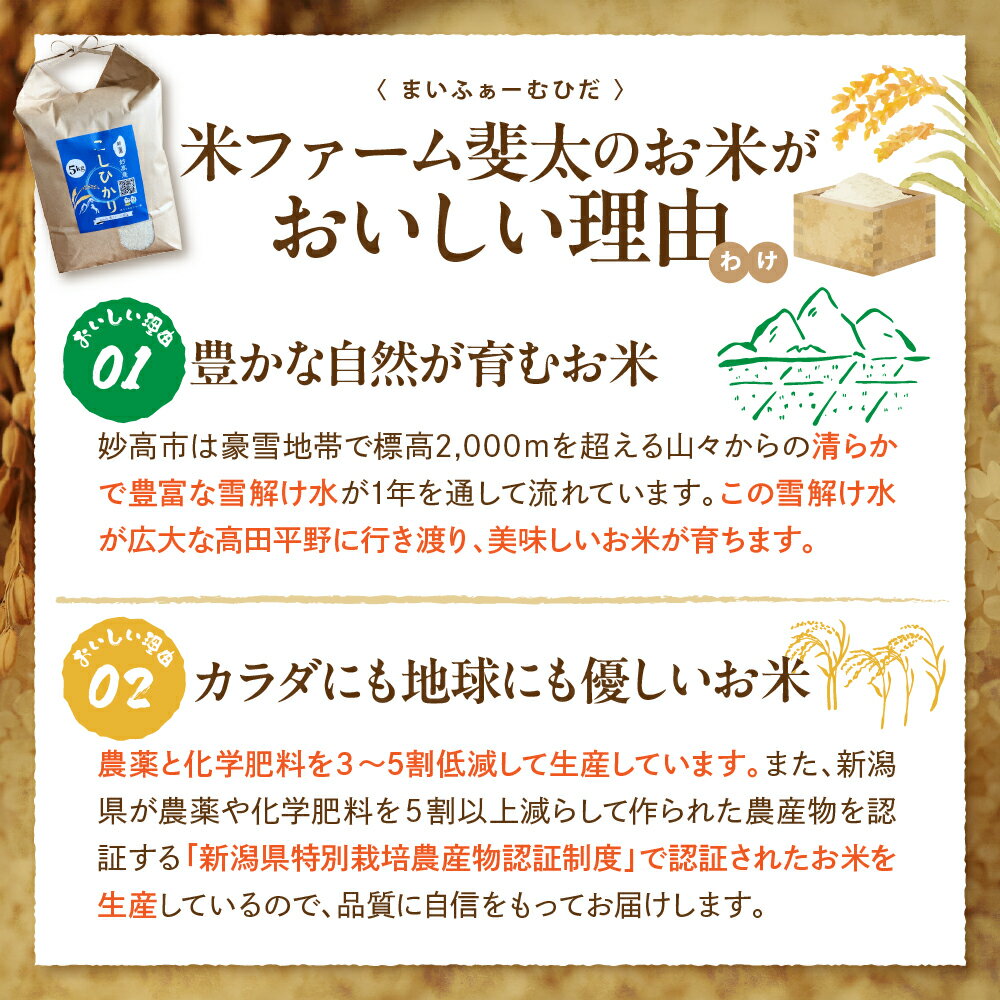 豊富な雪解け水が育む〜美味しいお米　【ふるさと納税】令和7年産 妙高産のめぐみ 5合 3.75kg 5種銘柄 食べ比べ 【発送時期が選べる】 真空パック こしひかり 虹のきらめき みずほの輝き こしいぶき つきあかり 長期保存 常温 米 白米 ごはん 精米 お取り寄せ 送料無料 新潟県 妙高市