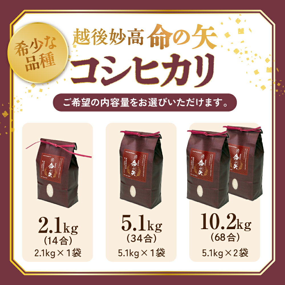 【ふるさと納税】合単位だから余らない 新米 令和7年産 コシヒカリ 命の矢 選べる内容量 2.1kg 5.1kg 10.2kg 新潟 上越 妙高産 2kg 5kg 10kg 米 希少品種 白米 精米 コメ お米 こめ ご飯 ごはん ライス 弁当 小分け 大容量 お取り寄せ 送料無料 妙高市
