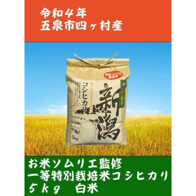 4位! 口コミ数「0件」評価「0」【味に自信あり】令和5年新潟県五泉市四ヶ村産1等コシヒカリ5kg　精白米　色選済【1332234】