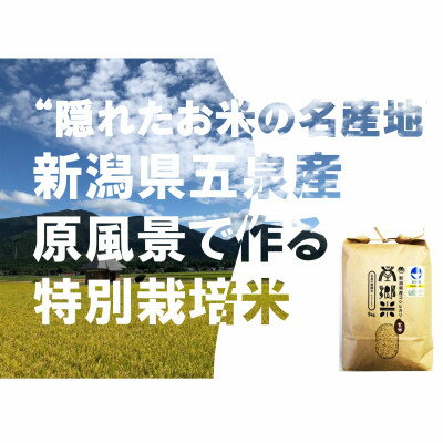 隠れたお米の名産地!新潟県五泉産コシヒカリ「南郷米」　令和5年産　玄米5kg×2袋