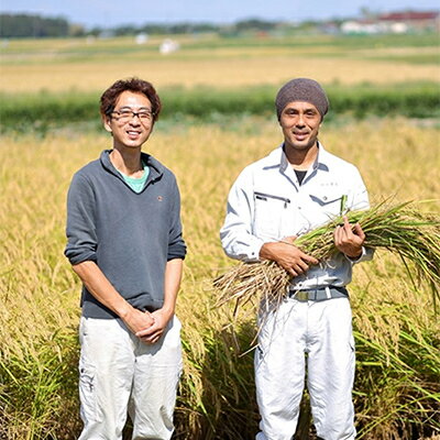 【ふるさと納税】【毎月定期便】令和5年産 わくわく農場の新潟県五泉産コシヒカリ5kg 全3回【4009514】