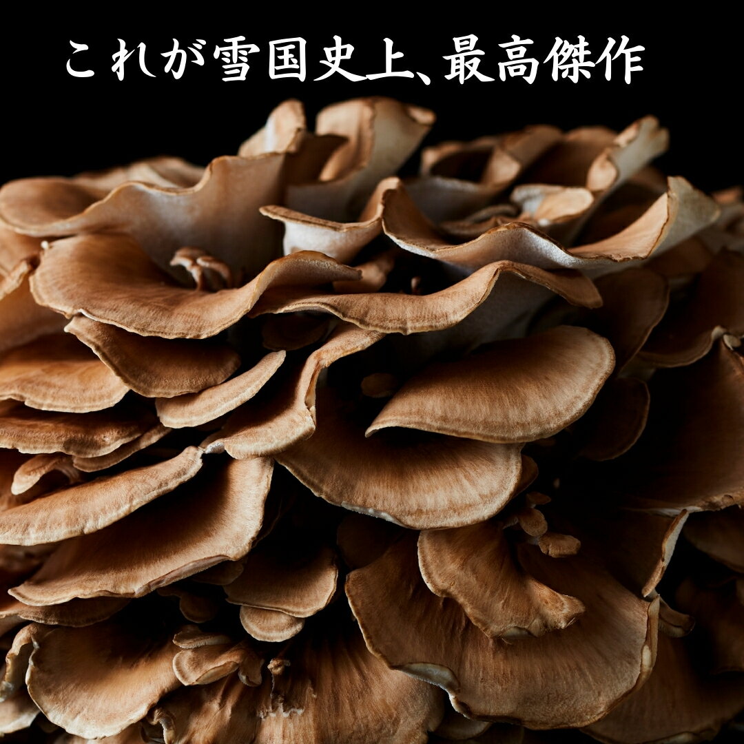 新潟県五泉市の画像2