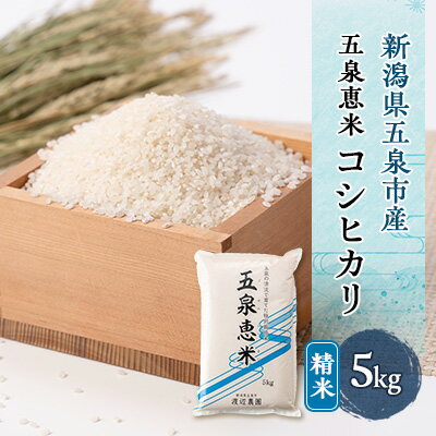 26位! 口コミ数「0件」評価「0」【令和5年産】新潟県五泉市産「五泉恵米」コシヒカリ5kg　精米【1203441】