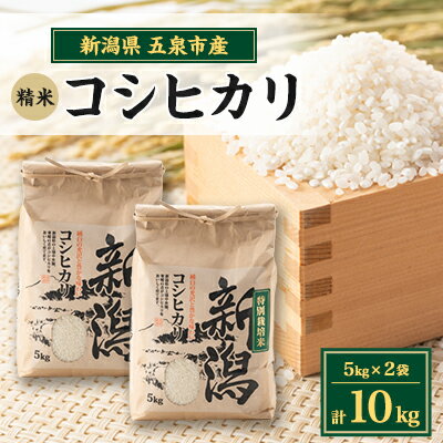 [味に自信あり]令和5年新潟県五泉市四ヶ村コシヒカリ5kg×2 10kg精白米