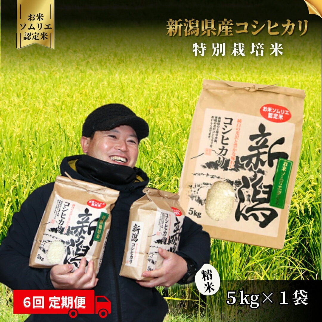 新潟県五泉市の画像3