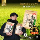 【ふるさと納税】令和7年産【お米ソムリエのお米】特別栽培米コシヒカリ 精米 5kg(5kg×1袋)五泉市四ヶ村産 米 お米 新潟県 五泉市 エバーグリーン農場
