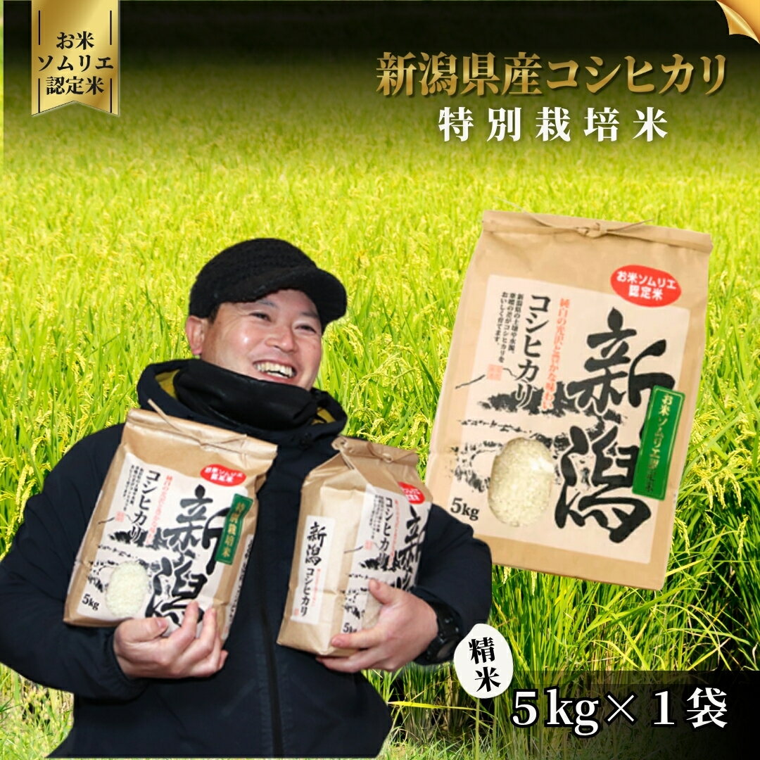 新潟県五泉市の画像2