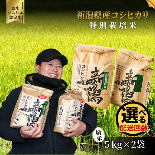 【ふるさと納税】令和7年産【お米ソムリエのお米】特別栽培米コシヒカリ 精米 10kg(5kg×2袋)1回 or 6回 五泉市四ヶ村産 米 お米 新潟県 五泉市 エバーグリーン農場 【ふるさと納税】令和7年産【お米ソムリエのお米】特別栽培米コシヒカリ 精米 10kg(5kg×2袋)1回 or 6回 五泉市四ヶ村産 米 お米 新潟県 五泉市 エバーグリーン農場