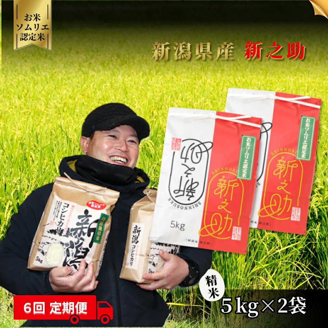 【ふるさと納税】 令和7年産 お米 食べ比べ 玄米 10kg(コシヒカリ5kg、新之助5kg)お米ソムリエのお米 | げんまい コシヒカリ こしひかり 新之助 ...