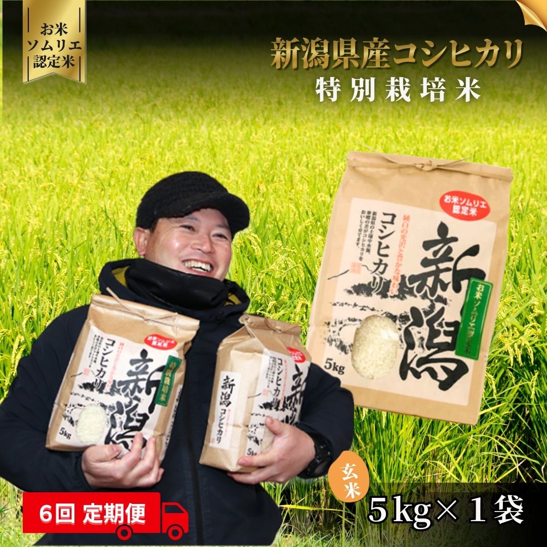 新潟県五泉市の画像3