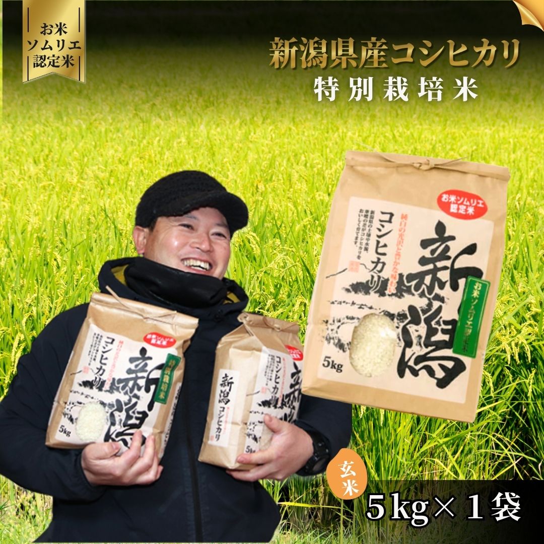 新潟県五泉市の画像2